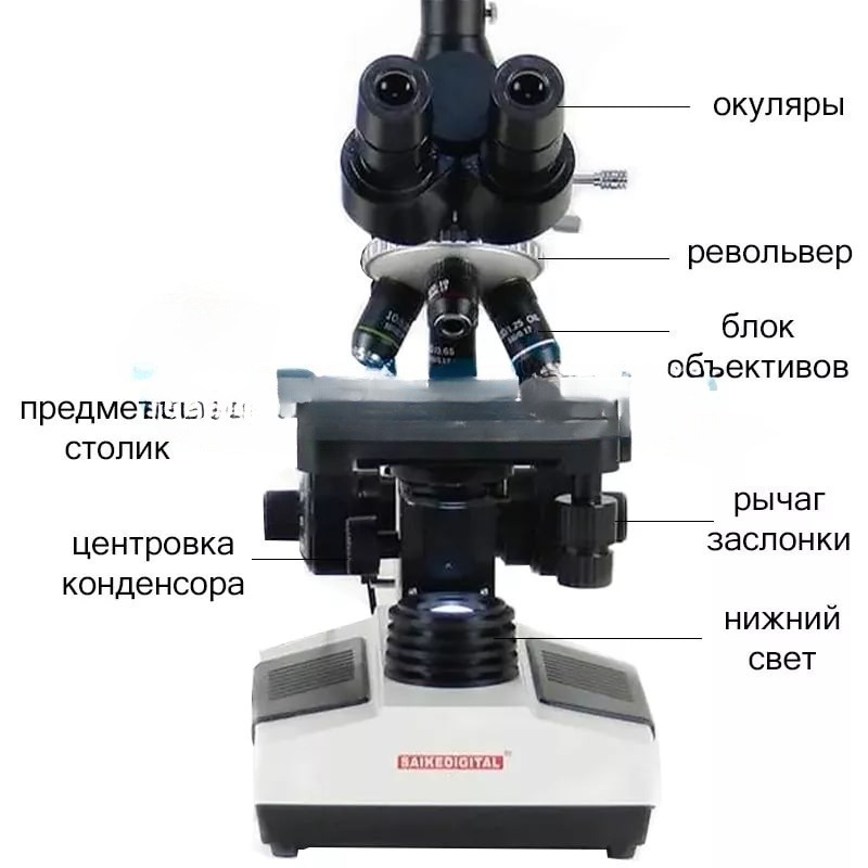 Фото Микроскоп лабораторный Saike Digital SK2009HDMI-T (c НДС 20%)