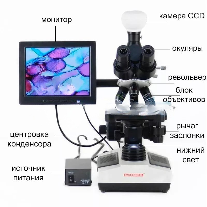 Фото Цифровой биологический микроскоп Saike Digital SK2009H2, тринокулярный (c НДС 20%)